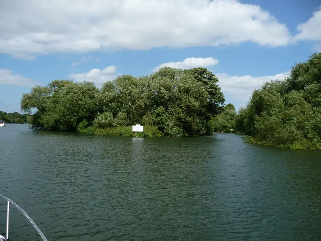 Bush Ait