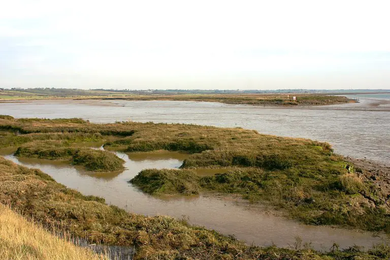 Bridgemarsh Island: Bridgemarsh Island