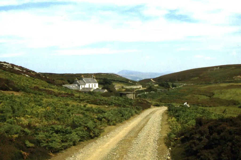 Calf of Man: Calf of Man - track leading to the Bird Observatory