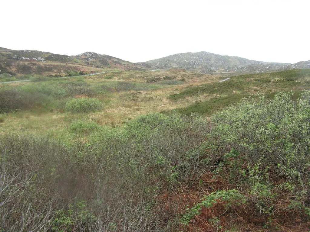 Colonsay: Moorland on Colonsay