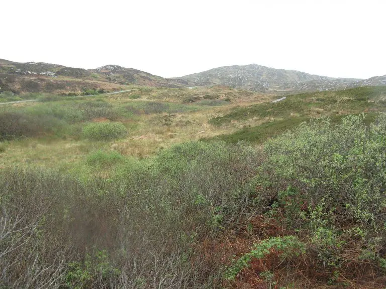 Colonsay: Moorland on Colonsay