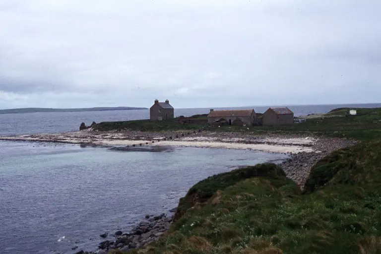 Copinsay: Copinsay - Island farm and associated buildings