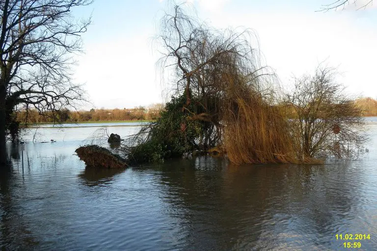 Deadwater Ait: Once upon a willow tree
