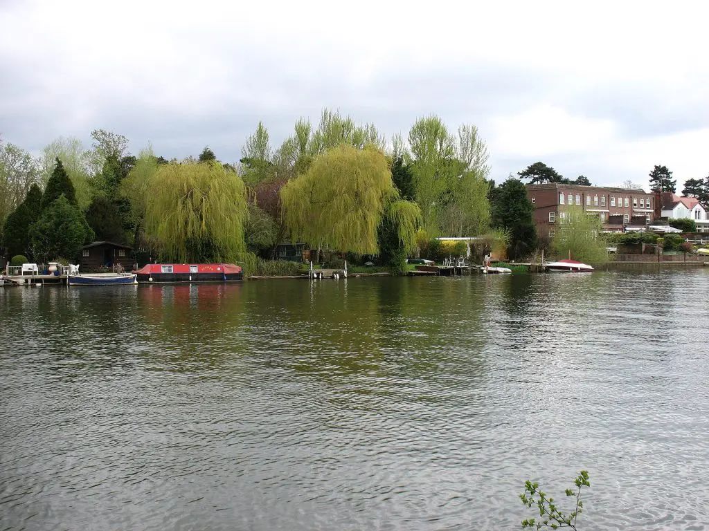 Grand Junction Isle: The River Thames near Sunbury