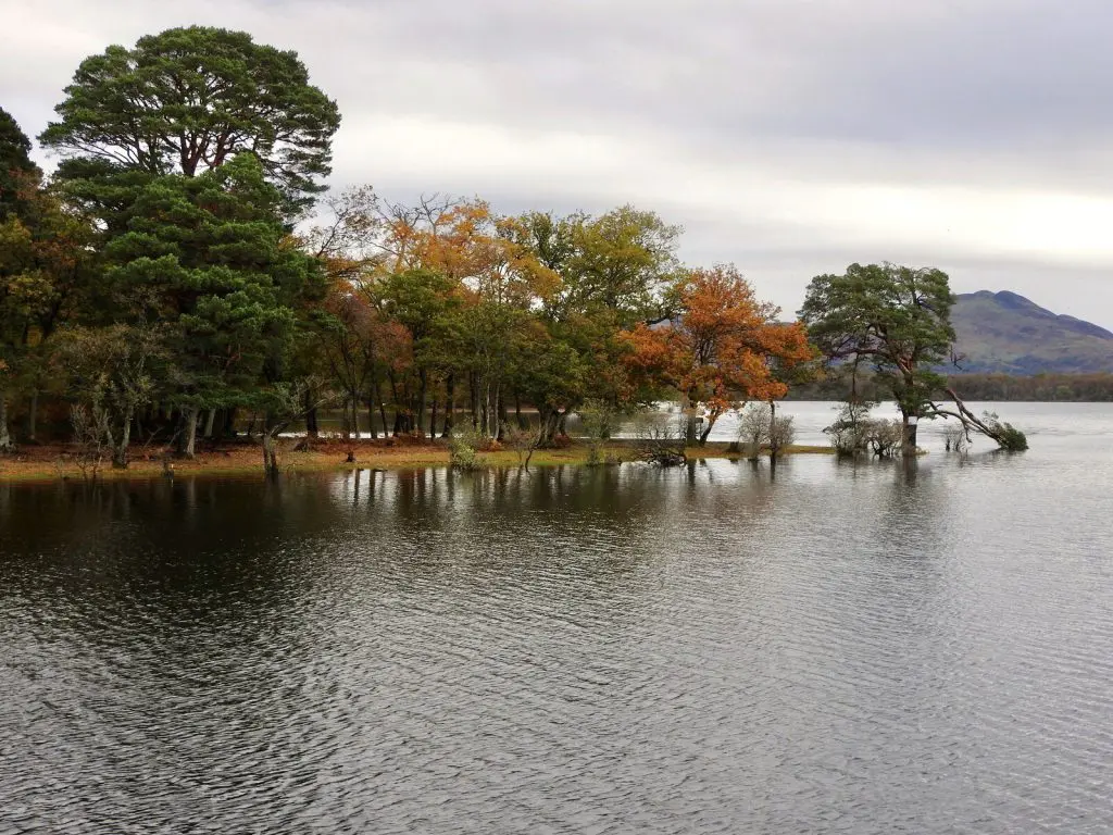 Inchconnachan: Autumn on Loch Lomond