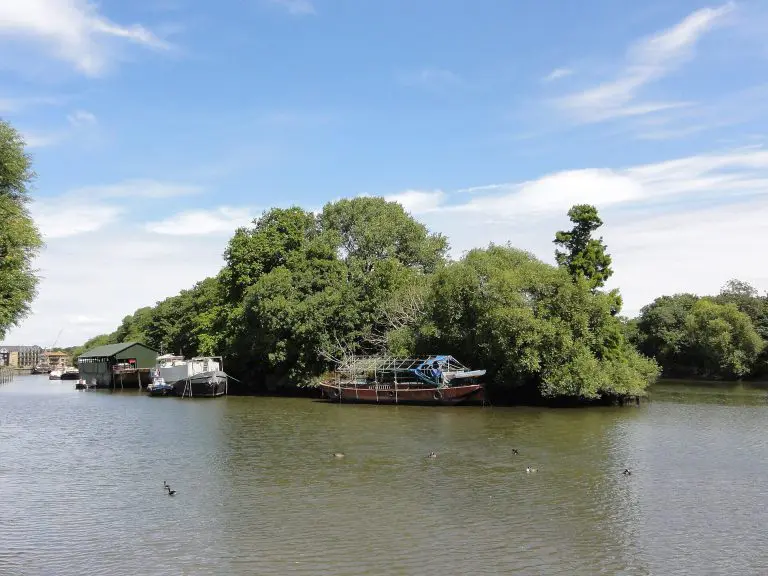 Isleworth Ait: Isleworth Ait on the Thames
