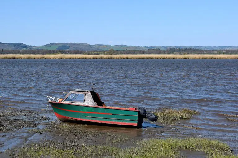 Mugdrum Island: The Oscar at rest with Mugdrum Island in the background