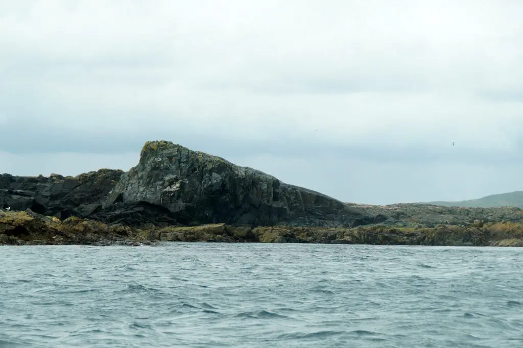 Rumble: Rumble, Whalsay
