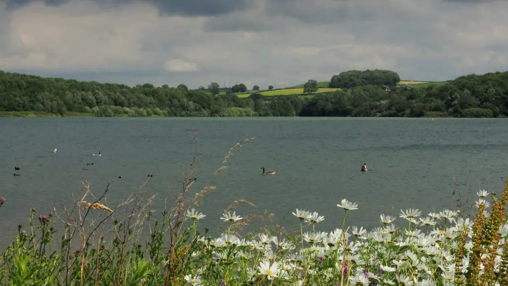 Sailing Club Island: Carsington Water, 2