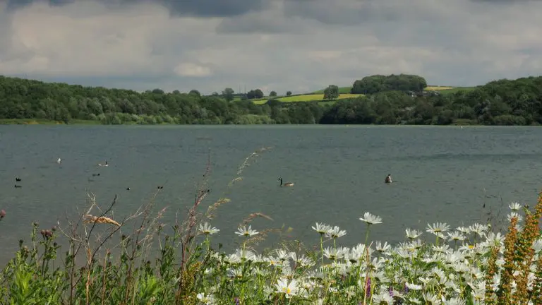 Sailing Club Island: Carsington Water, 2