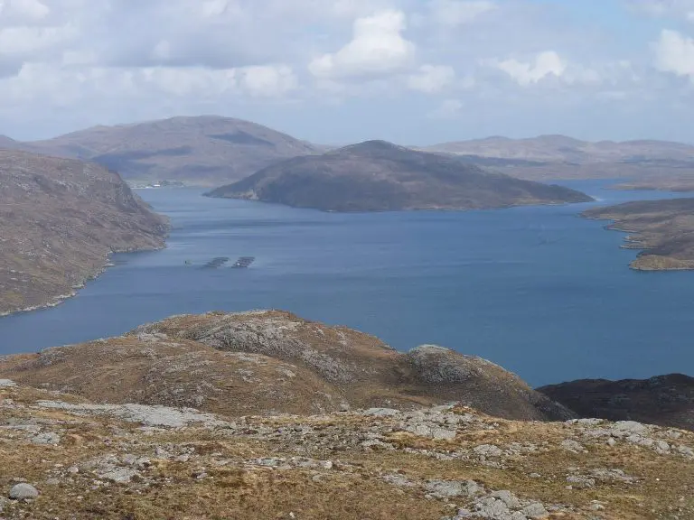 Seaforth Island: Looking up Loch Seaforth towards Seaforth Island