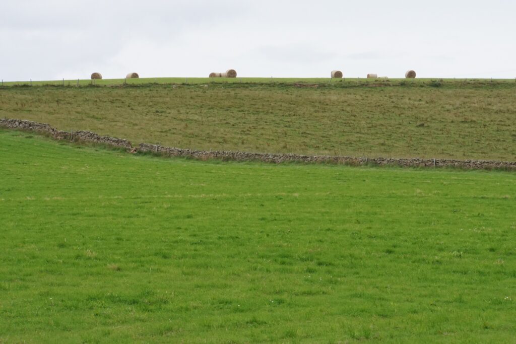 South Ronaldsay
