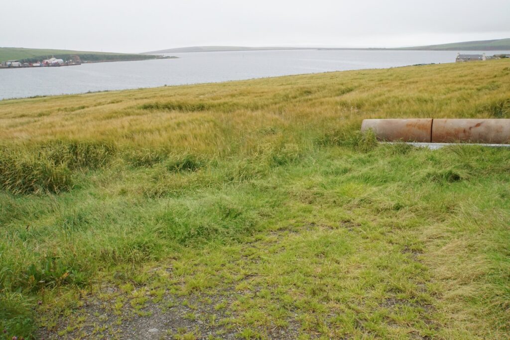 South Ronaldsay