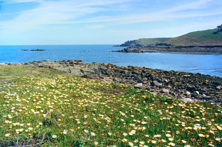 Toll’s Island
