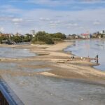 Chiswick Eyot