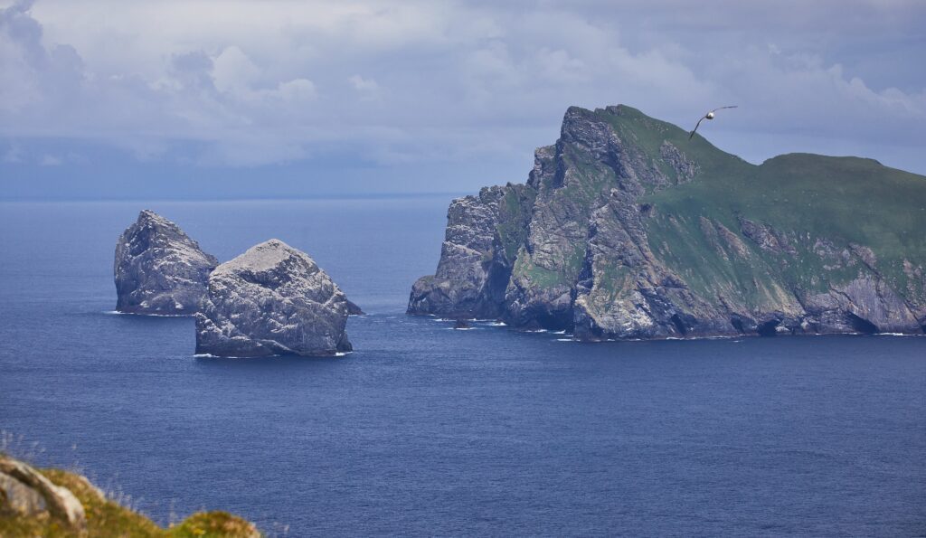 Stac Lee