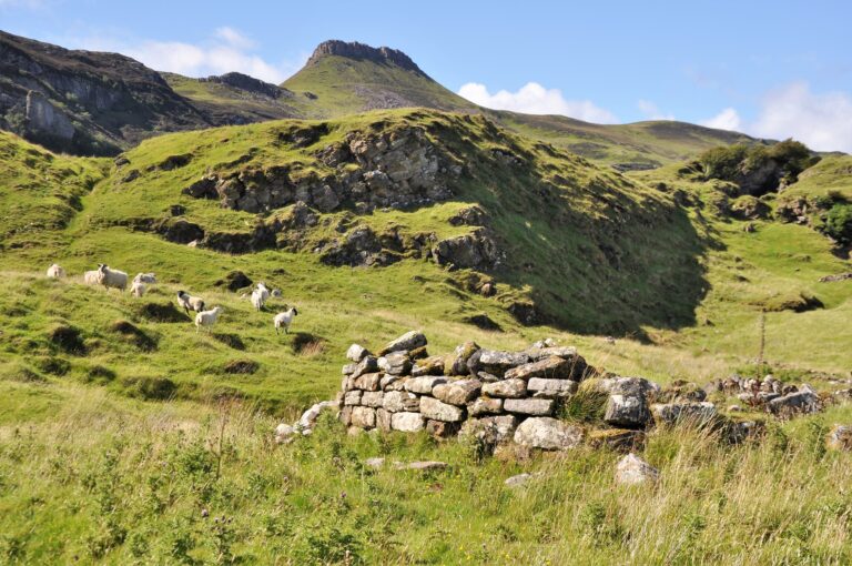 Hallaig
